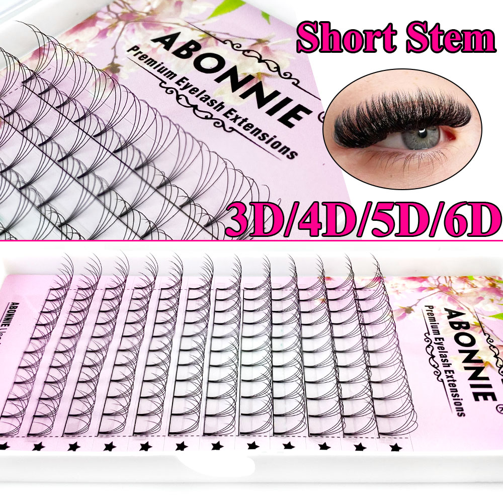Abonnie 6D Narrow Fan Premade  - Eyelash Extension For Asian Eyes recensione e prezzo